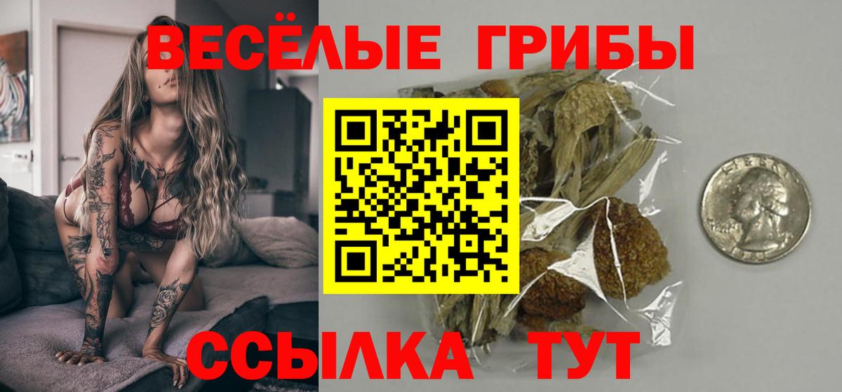 Псилоцибиновые грибы Magic Shrooms  Псилоцибиновые грибы Cubensis  Вход с VPN  Алатырь 